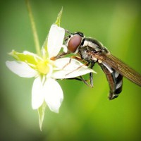/album/journal-des-enfants-du-monde/photolia-a02-jpg/