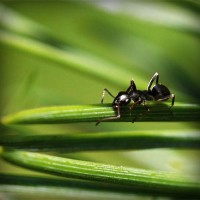 /album/journal-des-enfants-du-monde/photolia-a05-jpg/