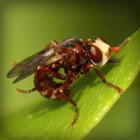 /album/journal-des-enfants-du-monde/photolia-a06-jpg/