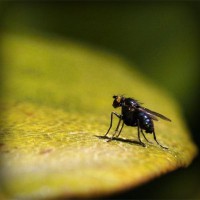 /album/journal-des-enfants-du-monde/photolia-a07-jpg/