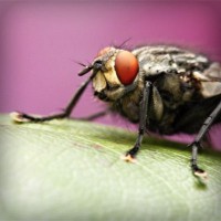 /album/journal-des-enfants-du-monde/photolia-a08-jpg/